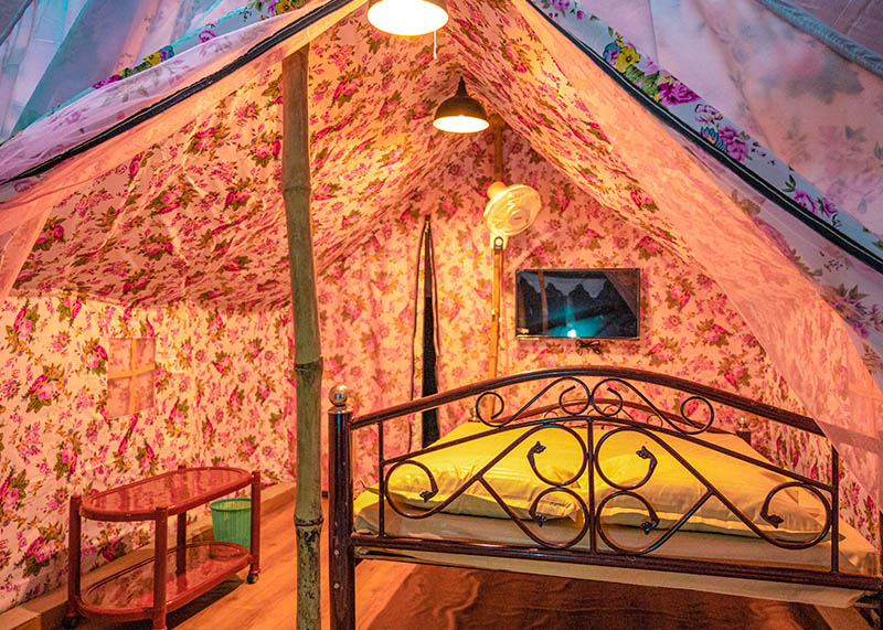 Free website template